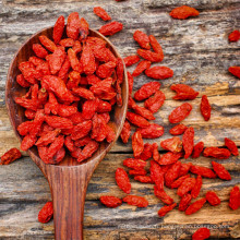 Ningxia en gros séché en vrac Wild Goji Berry